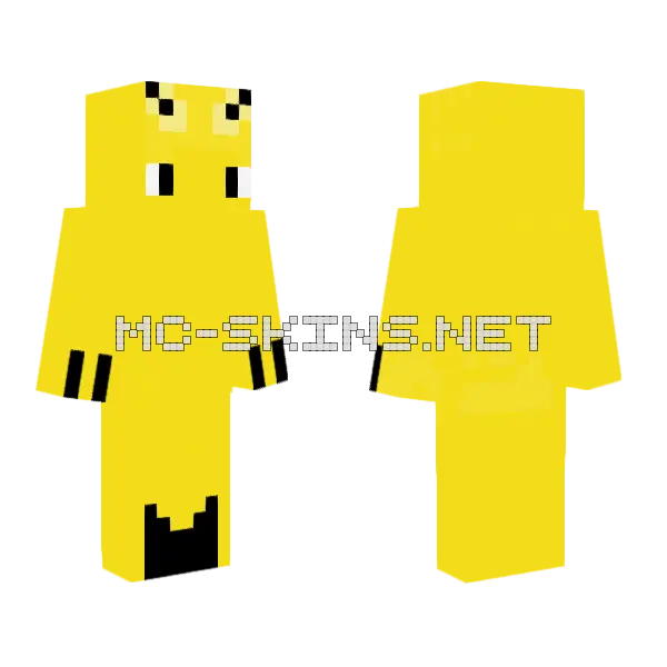 Eshaal Minecraft Cat Skin Minecraft skin, front and back