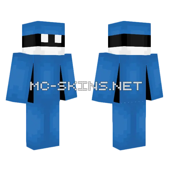 Estonia Flag Minecraft skin, front and back