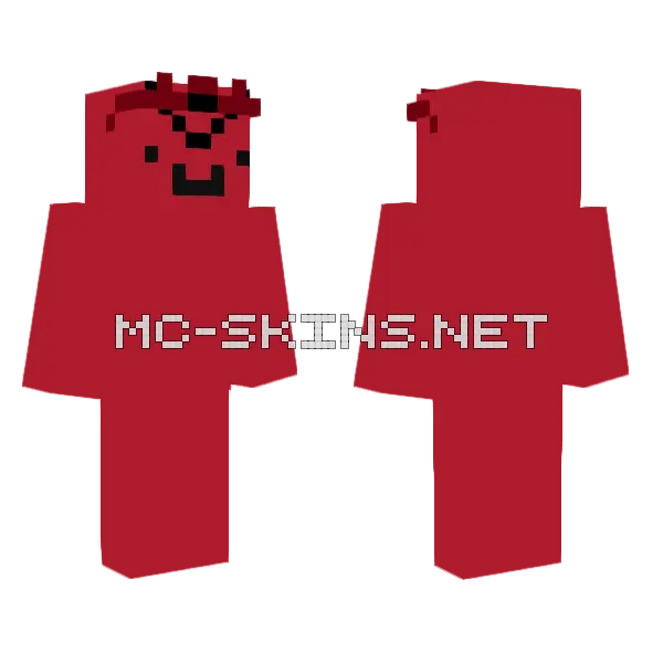 Evil Wembu Minecraft skin, front and back