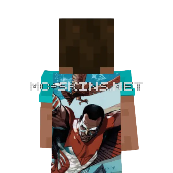 Falcon cape, outside and lining