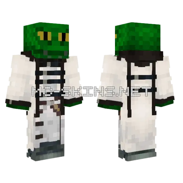 Favorite Fart Lizard Skin Minecraft skin, front and back