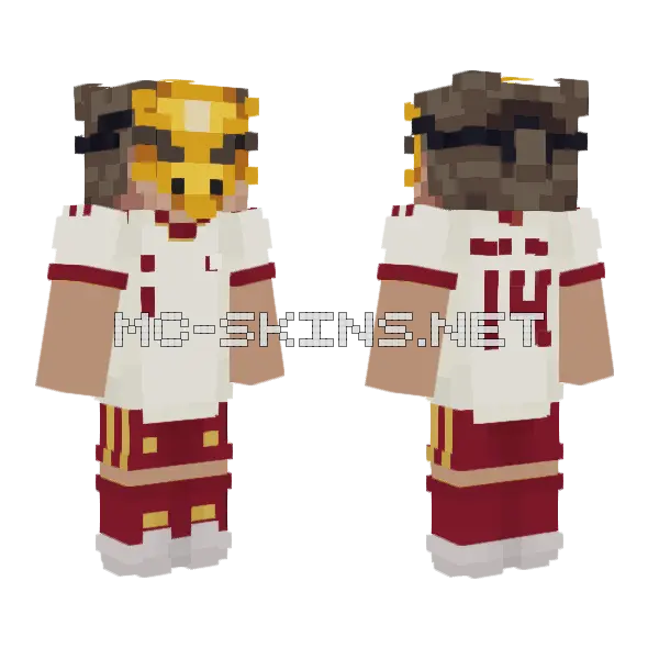Ferremc Skin Minecraft skin, front and back