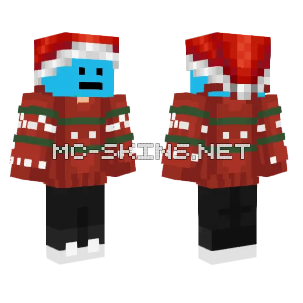 Festive Red Sweater, front and back
