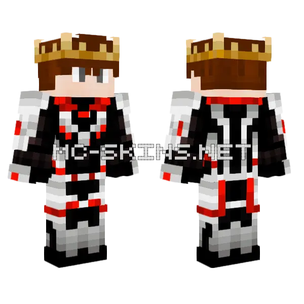 Fierainquieta Traje Cuantico Minecraft skin, front and back