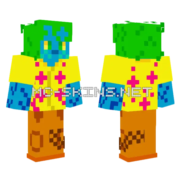 Fih Minecraft skin, front and back