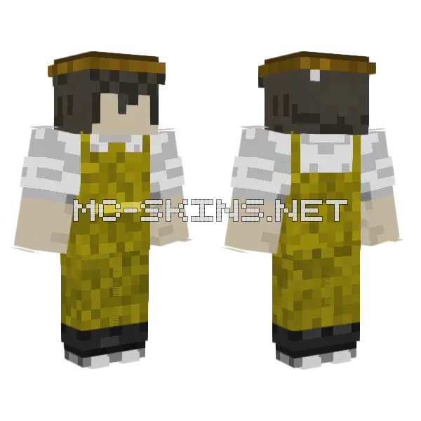 Fish Dude Skin Minecraft skin, front and back