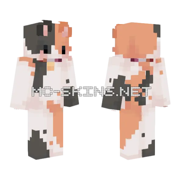 Flag Calico Cat Minecraft skin, front and back
