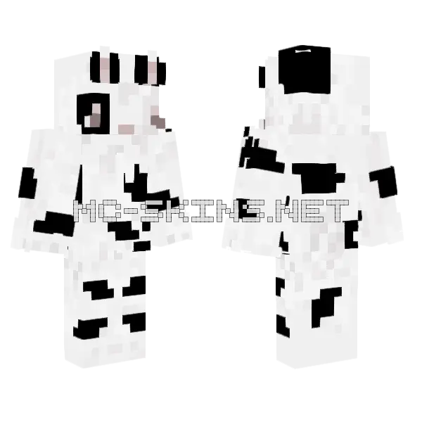 Flameing153 Minecraft skin, front and back