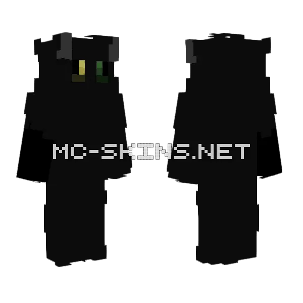 Flipping With No Arm Minecraft skin, front and back