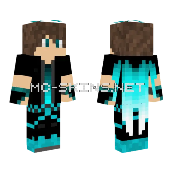 Fly Skin Minecraft skin, front and back