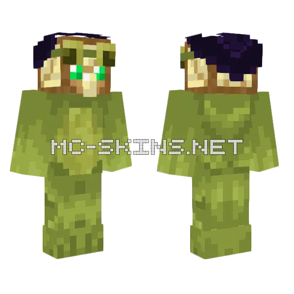 Foolish Sapotter Minecraft skin, front and back