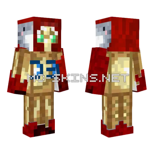 Foolishd Minecraft skin, front and back