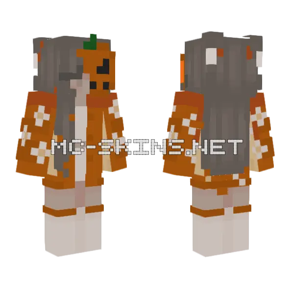 For Anika Minecraft skin, front and back