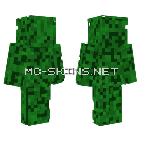 Forest Guardian, front and back