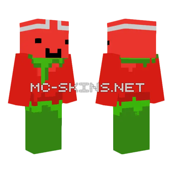 Foxy Minecraft skin, front and back