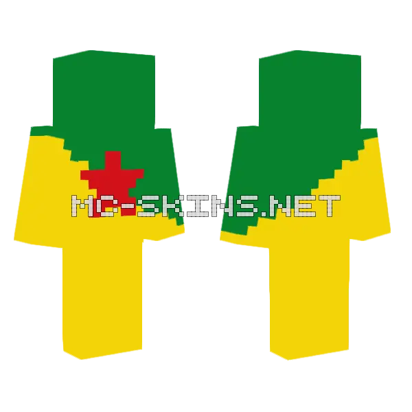 French Guiana Flag Minecraft skin, front and back