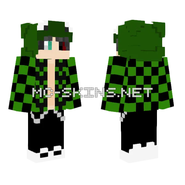 Frog2 Minecraft skin, front and back