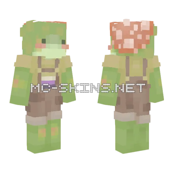 Froggy Mushroom Friend Minecraft skin, front and back
