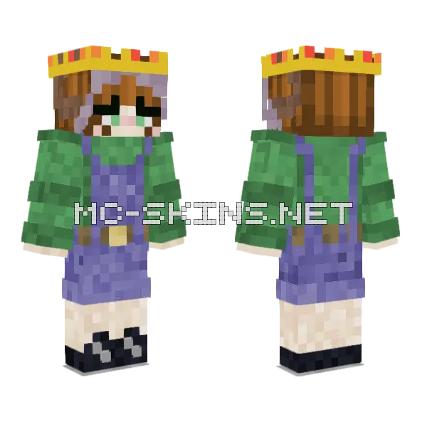 Fully Updated Toast Minecraft skin, front and back
