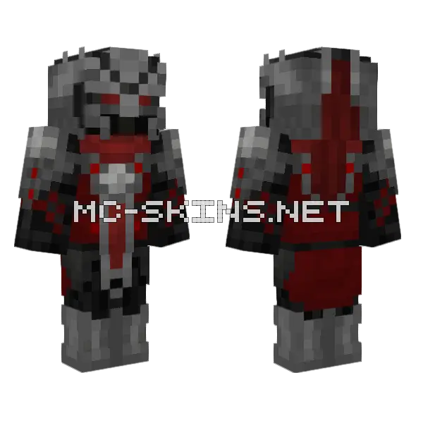 Gato Minecraft skin, front and back