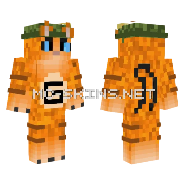 Gato Cat Minecraft skin, front and back