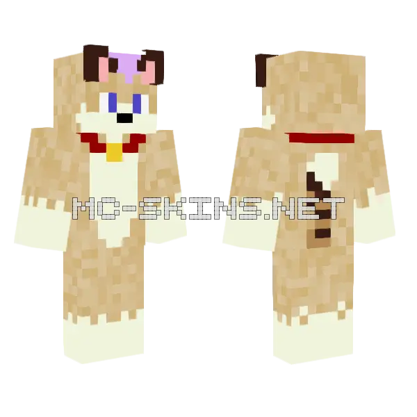 Gatorrizo 1 4 Minecraft skin, front and back