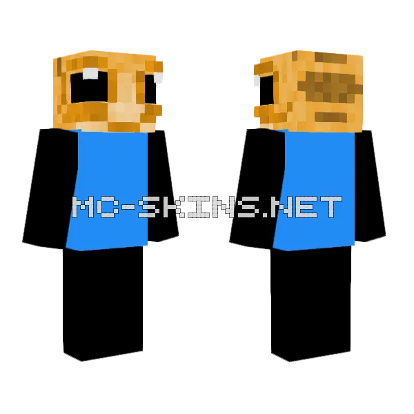 Gbnxgbnsfgnfg Minecraft skin, front and back