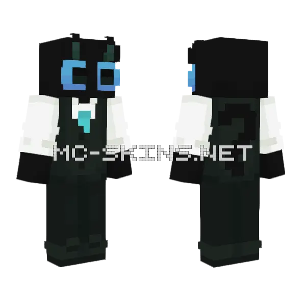 Gentle Cat Skin Minecraft skin, front and back