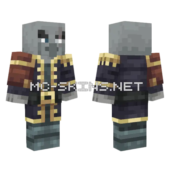 Pillager Captain, front and back