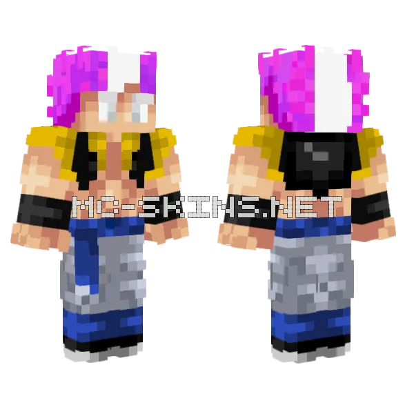Gogeta Ultra Instinct Ego Minecraft skin, front and back