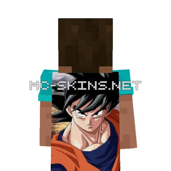 Gokuu Son cape, outside and lining