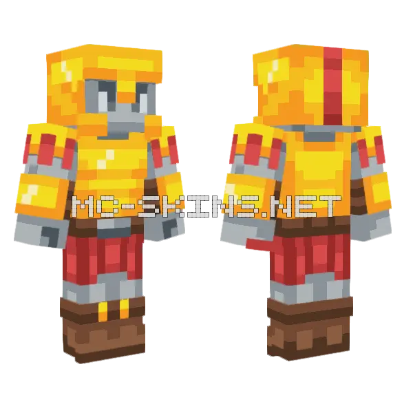 Hive Sky Fighter Costume, front and back