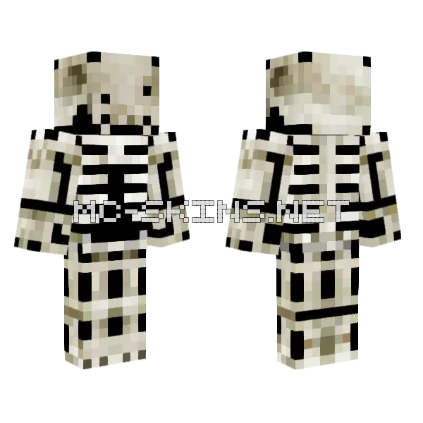 Goofy Ahh Skeleton Minecraft skin, front and back