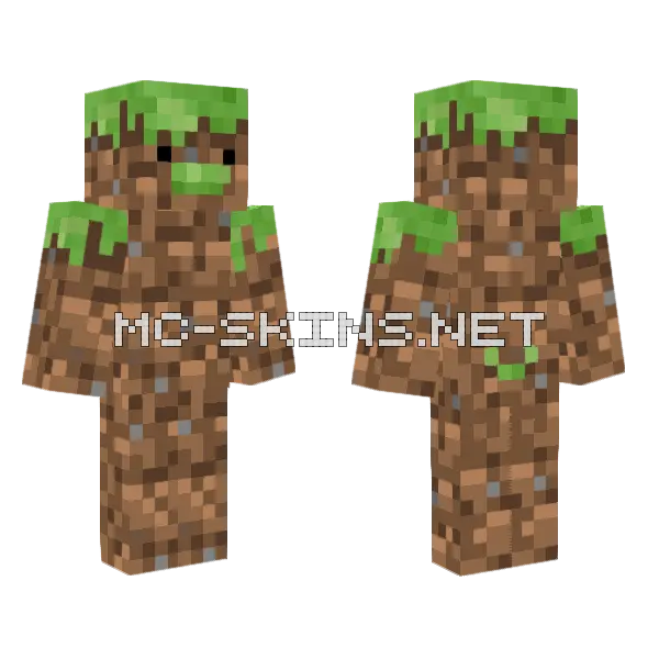 Grass Duck Minecraft skin, front and back