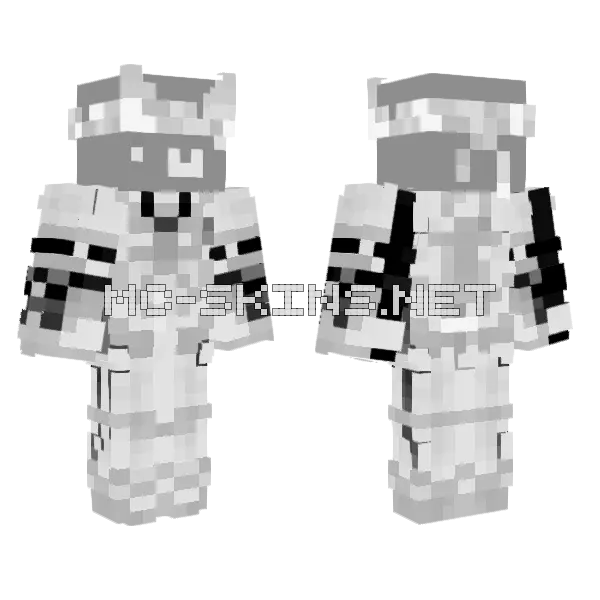 Gray Knight Armor, front and back