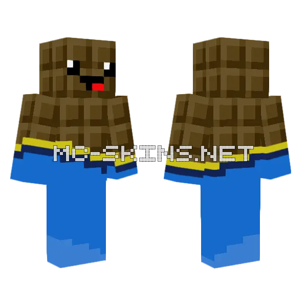 Grayson S Chocolate Noob Minecraft skin, front and back
