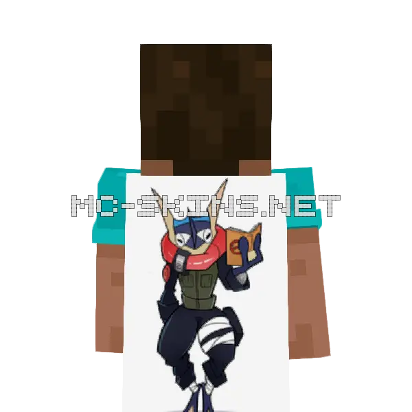Greninja Ninja cape, outside and lining