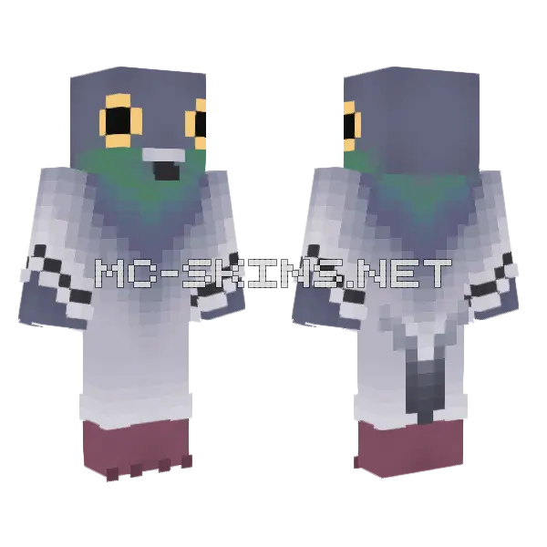 Grey Pigeon Bird, front and back