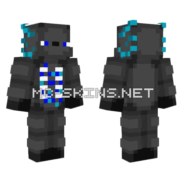 Grey Warden Axolotl Minecraft skin, front and back