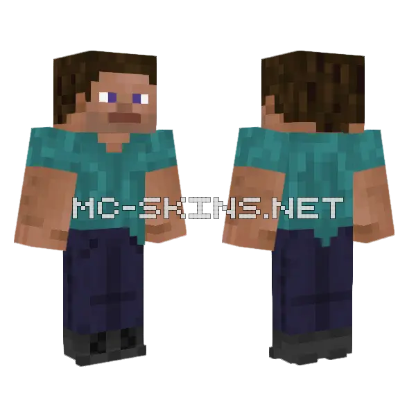 Guineapig371 S Steve Remake Version 6 Minecraft skin, front and back