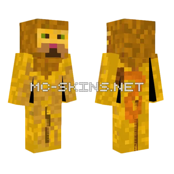 Hacou Cat Skin Minecraft skin, front and back