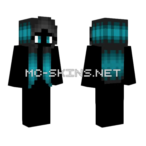 Hair Base Black Blue Highlights Minecraft skin, front and back