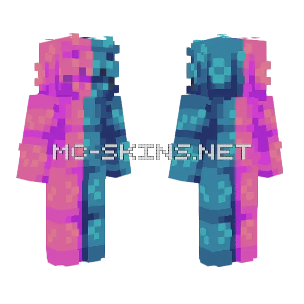 Half Minecraft skin, front and back