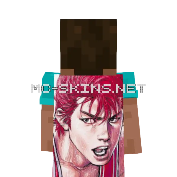 Hanamichi Sakuragi cape, outside and lining