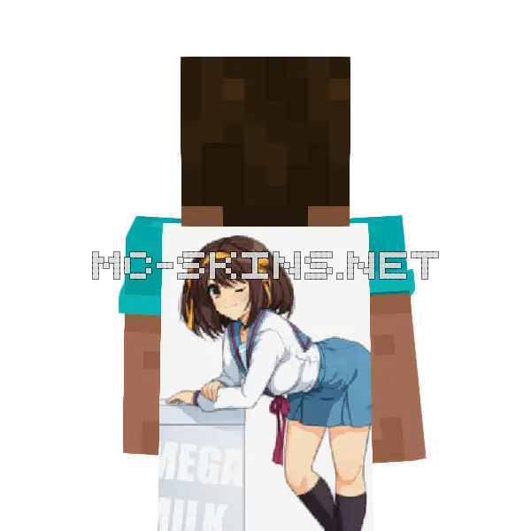 Haruhi Suzumiya cape, outside and lining