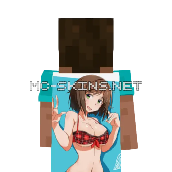 Haruhi Suzumiya Bikini cape, outside and lining