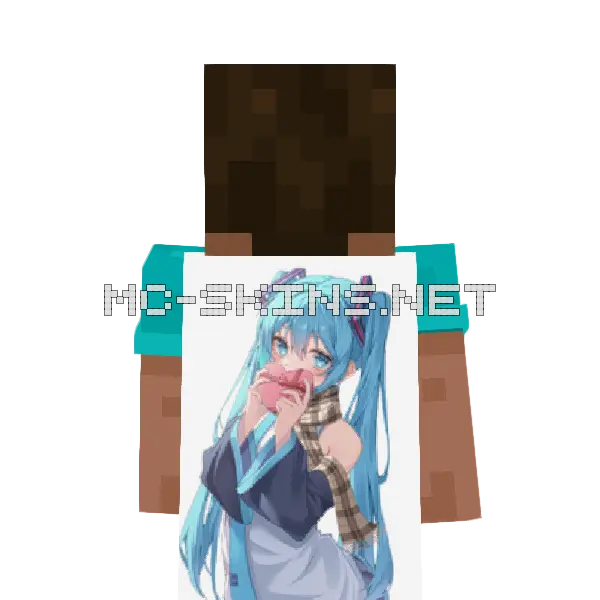 Hatsune Miku Valentine cape, outside and lining