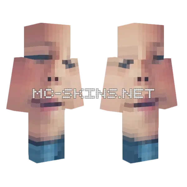 He W Pokoju Minecraft skin, front and back
