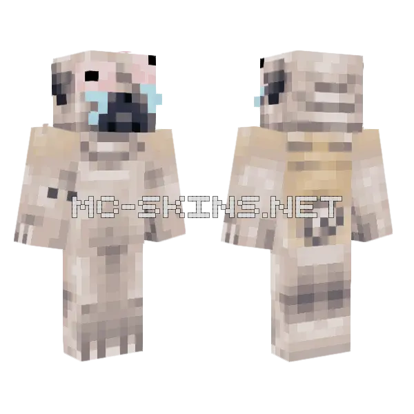 High Pug Minecraft skin, front and back