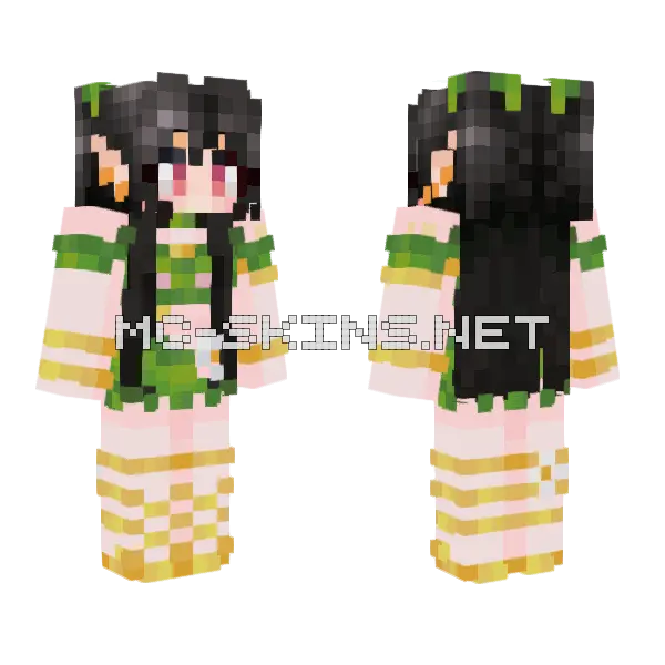 Historya Minecraft skin, front and back
